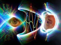El ojo y el Oído